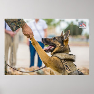POSTER CHIEN DE TRAVAIL MILITAIRE AMÉRICAIN