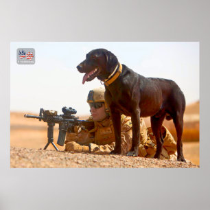 POSTER CHIEN DE TRAVAIL MILITAIRE AMÉRICAIN