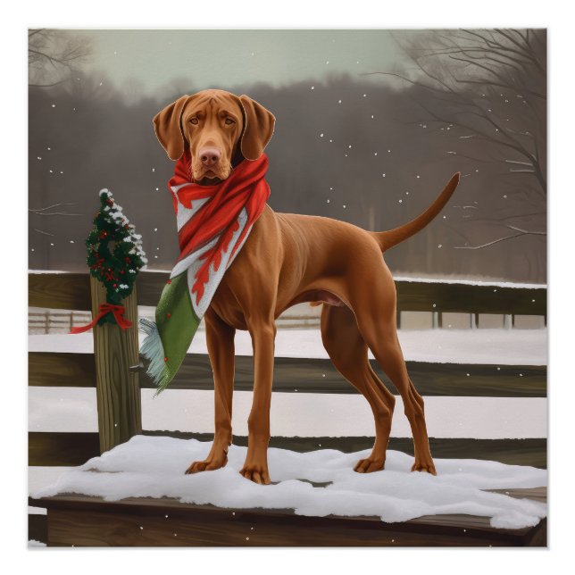 Poster Chien de Vizsla à Noël de neige (Devant)