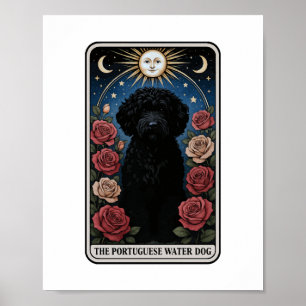 Poster Chien d'eau portugais
