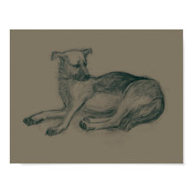 Chien. Dessin au crayon.