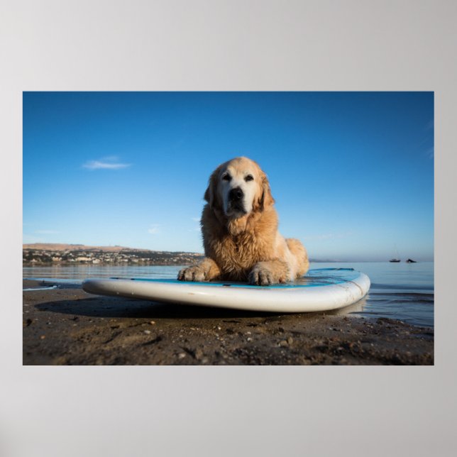 Poster Chien D'Or Retriever Posé Sur Une Planche À Pagaie (Devant)