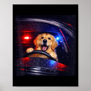 Poster Chien drôle de race golden retriever mème de chien