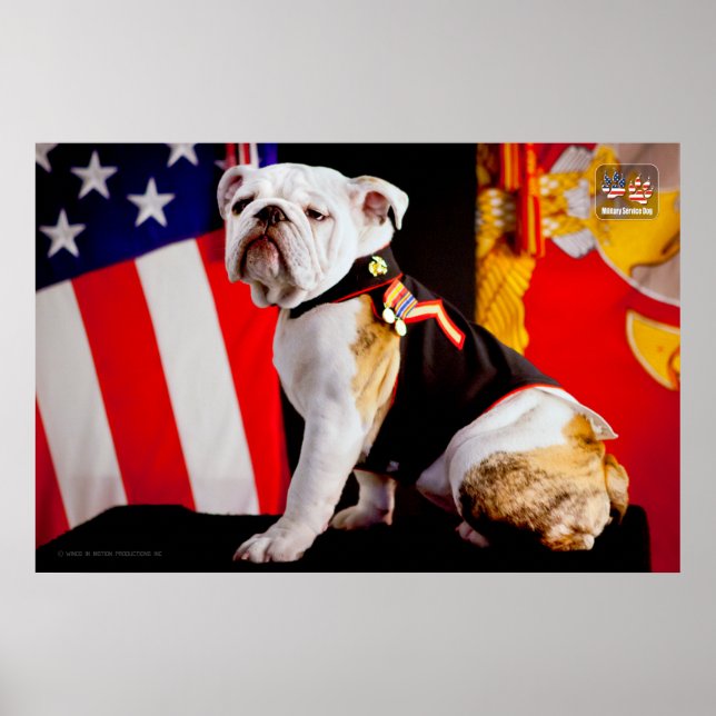 POSTER CHIEN DU SERVICE MILITAIRE AMÉRICAIN (Devant)