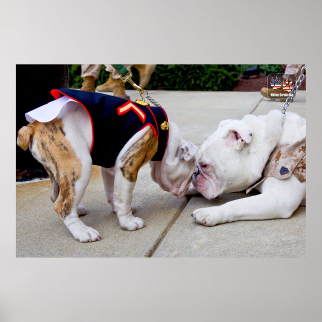 POSTER CHIEN DU SERVICE MILITAIRE AMÉRICAIN (Devant)