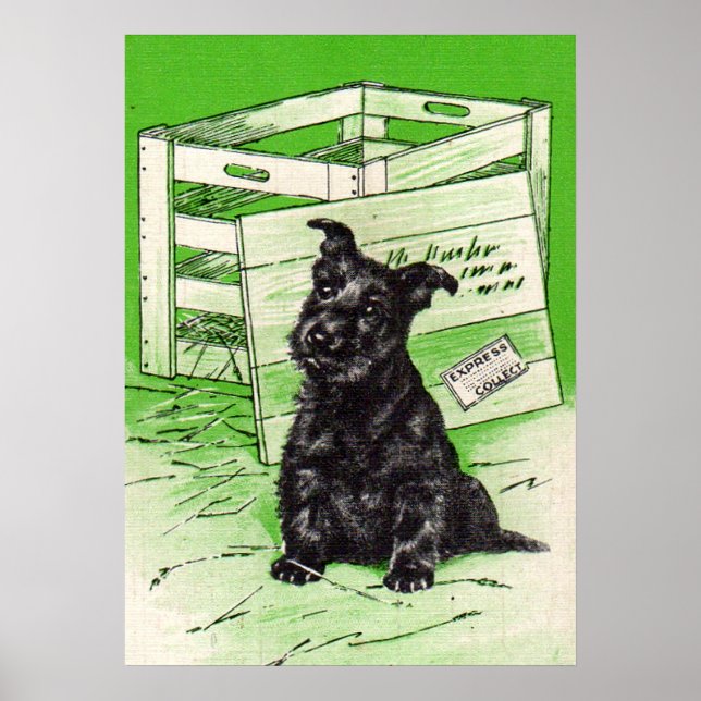 Poster Chien écossais par livraison spéciale (Devant)