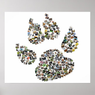 Poster Chien Empreinte de patte Collage