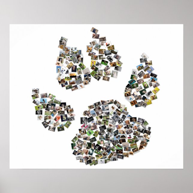 Poster Chien Empreinte de patte Collage (Devant)