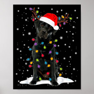 Poster Chien en pyjama à lumières de sapin de Noël Labrad