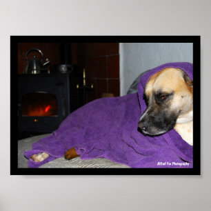 Poster Chien endormi près de la cheminée