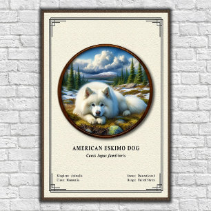 Poster Chien Esquimau Américain Série de Zoologie