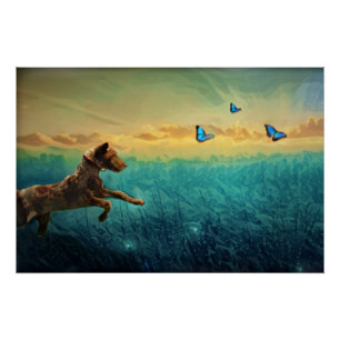 Poster Chien Et Papillon