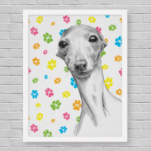 Chien Greyhound italien Cute Funny Sketch Portrait