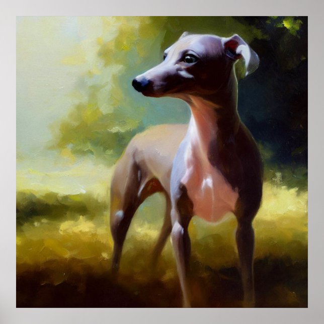 Poster Chien gris italien (Devant)