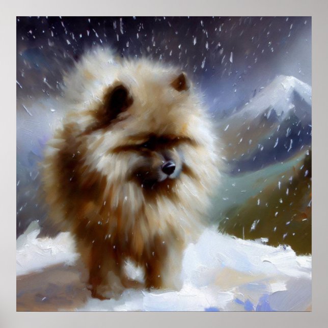 Poster Chien Keeshond (Devant)