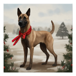 Poster Chien malinois belge à Noël de neige