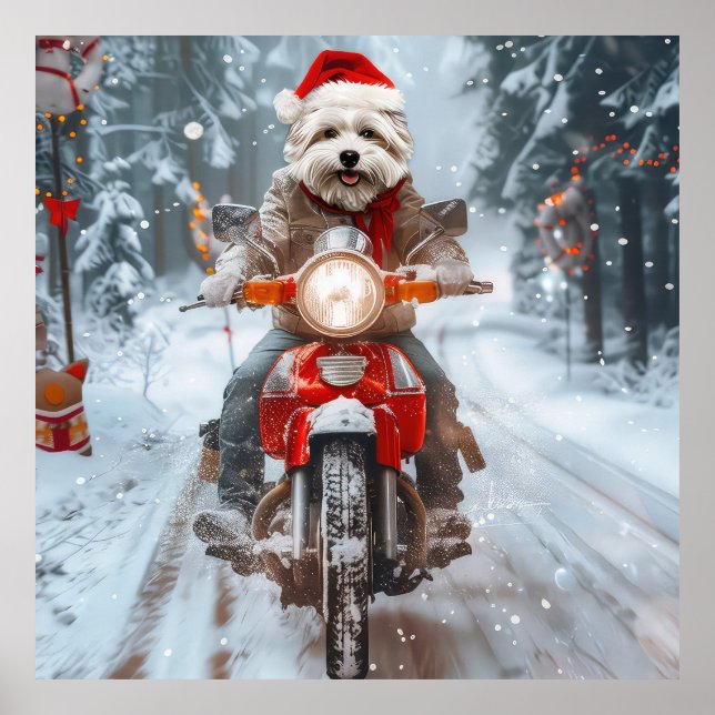 Poster Chien maltais équitation moto Noël (Devant)