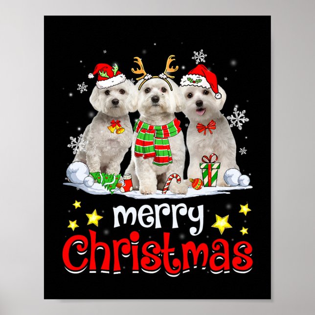 Poster Chien Maltese Joyeux Noël Mignonne Chien Maltais C (Devant)