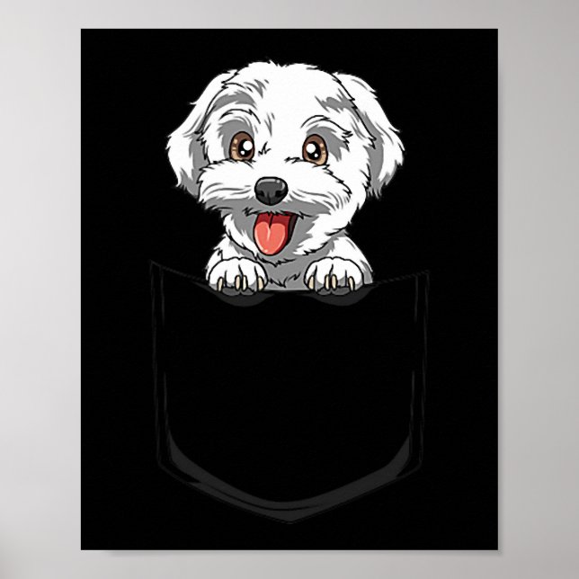Poster Chien Maltese Poche Maltese Peeout Pocket Maltese (Devant)