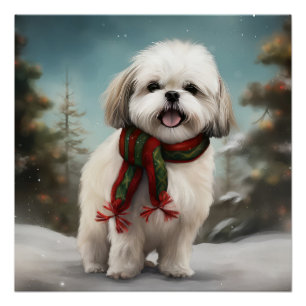 Poster Chien Malti Tzu à Noël de neige