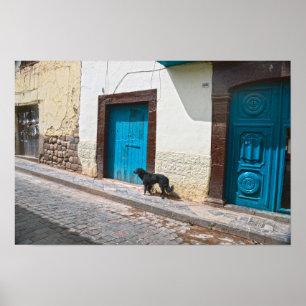 Poster Chien noir à Cusco, Pérou