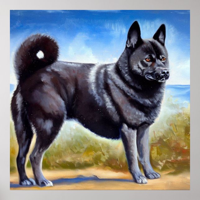 Poster Chien noir norvégien Elkhound (Devant)