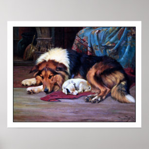 Poster Chien Orphelin avec Collie - Art Vintage