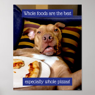 Poster Chien Plein De Pizza