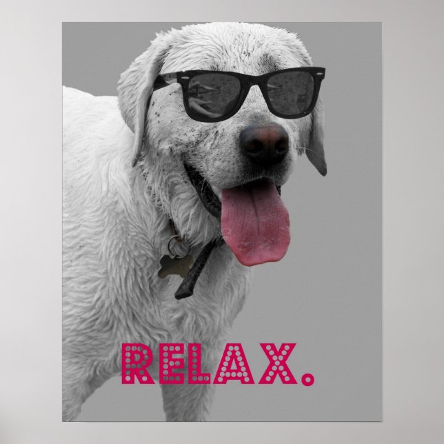 Poster Chien portant des lunettes de soleil, détendez-vou (Devant)