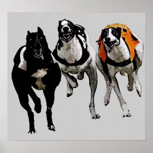 POSTER CHIEN RACE GREYHOY
