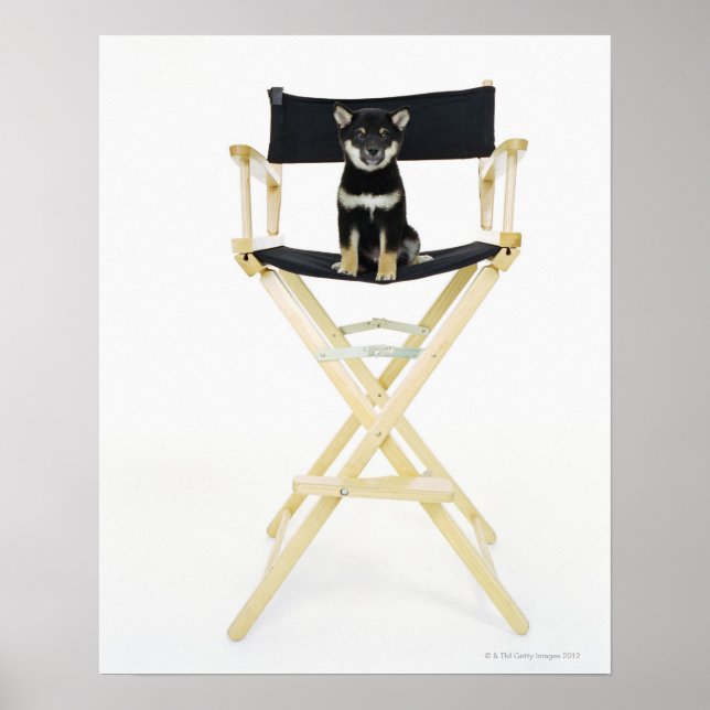 Poster Chien Shiba Inu sur la chaise du réalisateur (Devant)