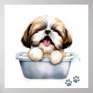 Poster Chien Shih Tzu