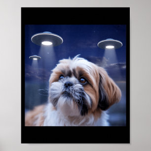 Poster Chien Shih tzu chien shihtzu alien ufos shitzhu dr