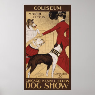 Poster Chien Show 1902 du Chicago Kennel Club