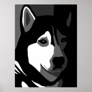 Poster Chien sibérien Husky 162