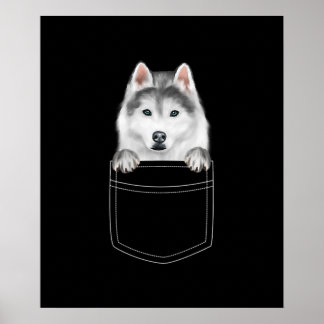 Poster Chien Sibérien Husky À Poche |Drôle cadeau de l'am