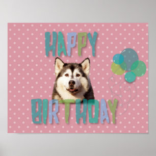 Poster Chien sibérien Husky Joyeux anniversaire