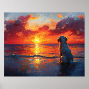 Poster Chien sur la plage regardant le coucher du soleil