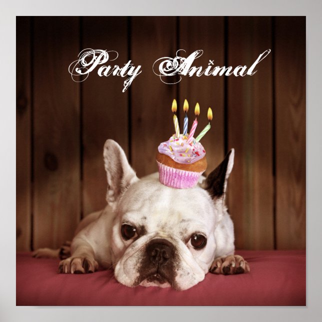 Poster Chien-taureau français avec Cupcake d'anniversaire (Devant)