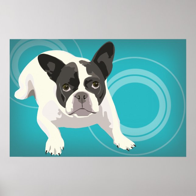 Poster Chien-taureaux français noir et blanc sur Arrière  (Devant)