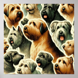 Poster Chien vintage Briard sans soudure