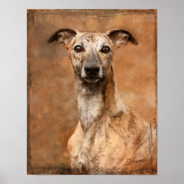 Poster Chien Whippet Bringé (Devant)