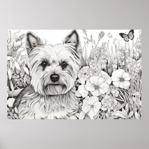 Poster Chien Yorkshire Terrier Nature paisible Prairie An