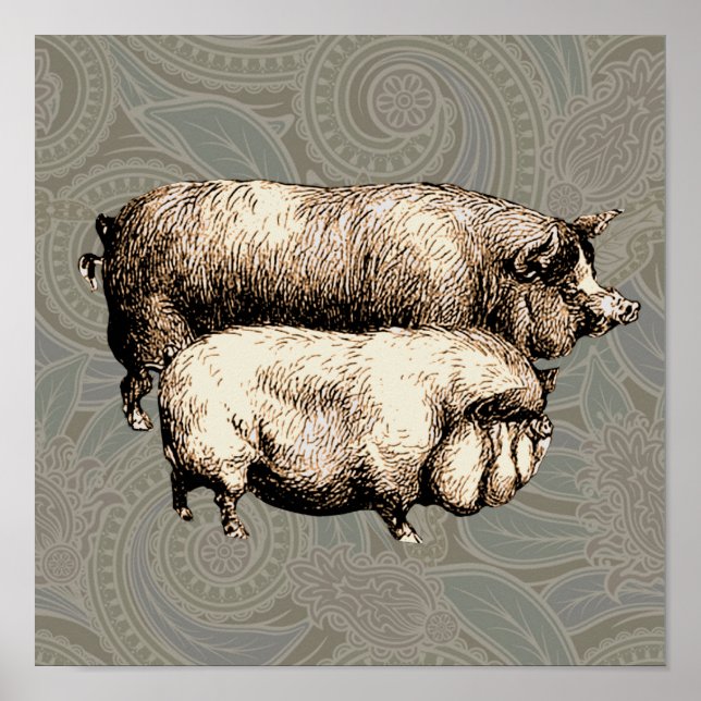 Poster Chiens d'antiquités dessin Vintage (Devant)