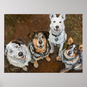 Poster Chiens de bétail de Cattledogs et Hued Brown de