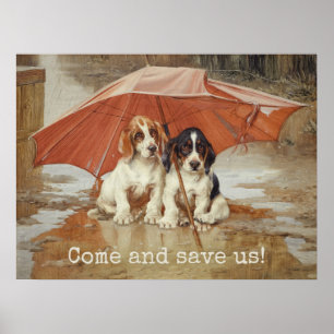Poster Chiens de chien de chien sous parapluie CC0867 Tro