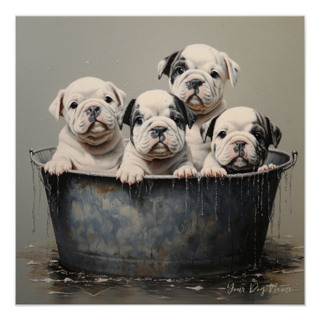 Poster Chiens de chiot Bulldog 001 - Raimon Paladino (Devant)