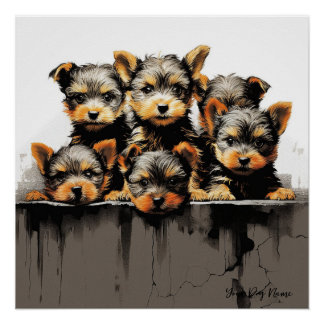 Poster Chiens de chiot Terrier Yorkshire 001 - Raimo