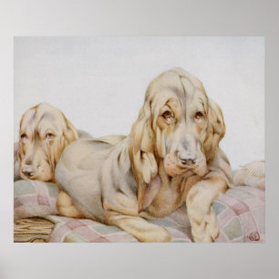 Poster Chiens de chiots vintages, chiens de chiots par EJ