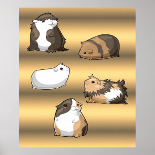 Poster Chiens de Guinée   Cadeaux d'or aux cochons de Gui